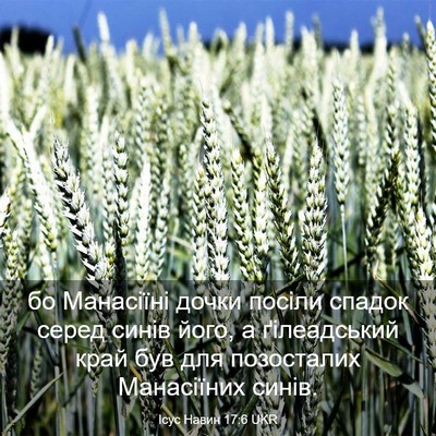 Picture 03 - Ісус Навин 17:6 UKR - бо Манасіїні дочки посіли - Bible Verse Picture