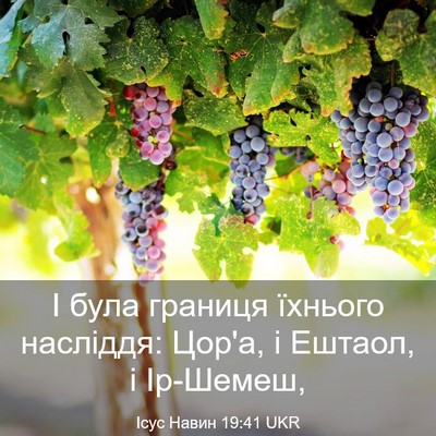 Picture 03 - Ісус Навин 19:41 UKR - І була границя їхнього - Bible Verse Picture