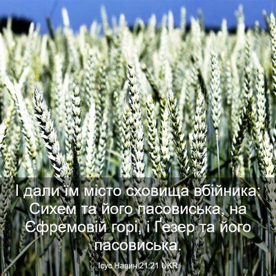 Picture 03 - Ісус Навин 21:21 UKR - І дали їм місто сховища - Bible Verse Picture