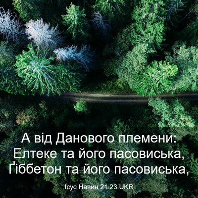 Picture 03 - Ісус Навин 21:23 UKR - А від Данового племени: - Bible Verse Picture