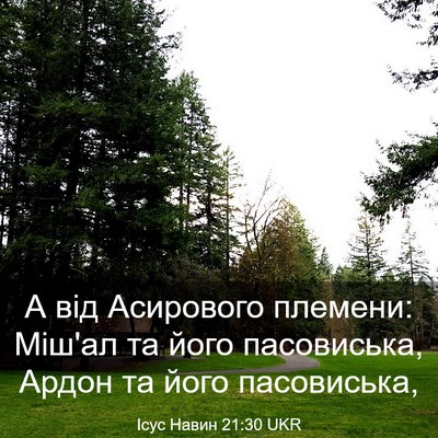 Picture 03 - Ісус Навин 21:30 UKR - А від Асирового племени: - Bible Verse Picture