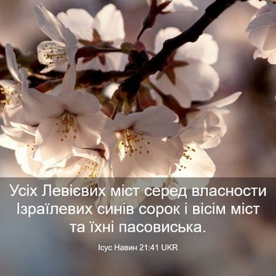 Picture 03 - Ісус Навин 21:41 UKR - Усіх Левієвих міст серед - Bible Verse Picture