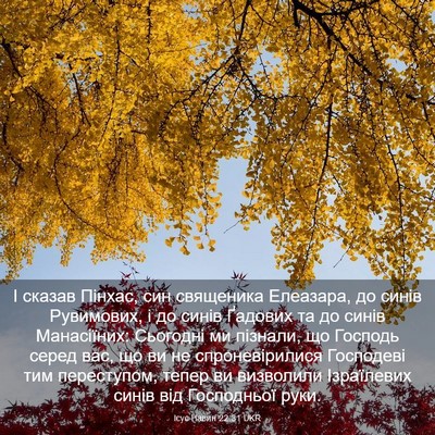 Picture 03 - Ісус Навин 22:31 UKR - І сказав Пінхас, син - Bible Verse Picture