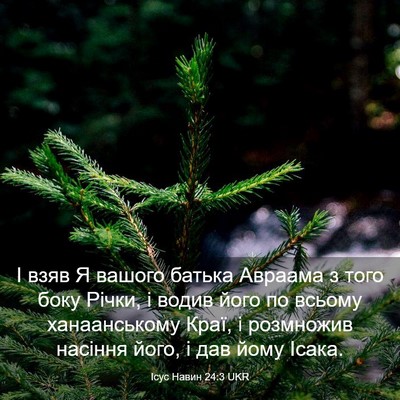 Picture 03 - Ісус Навин 24:3 UKR - І взяв Я вашого батька - Bible Verse Picture