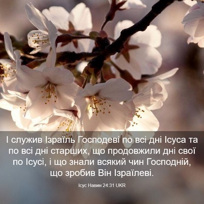 Picture 03 - Ісус Навин 24:31 UKR - І служив Ізраїль Господеві - Bible Verse Picture