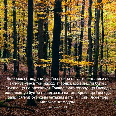 Picture 03 - Ісус Навин 5:6 UKR - Бо сорок літ ходили - Bible Verse Picture