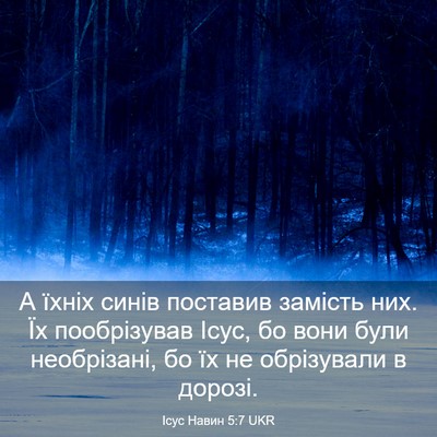Picture 03 - Ісус Навин 5:7 UKR - А їхніх синів поставив - Bible Verse Picture