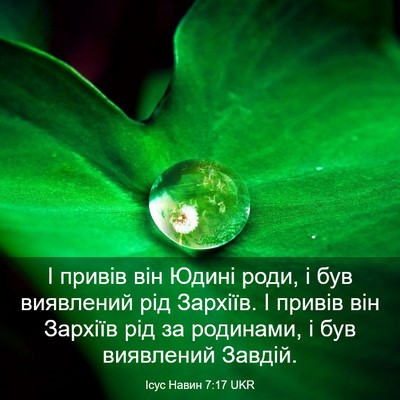 Picture 03 - Ісус Навин 7:17 UKR - І привів він Юдині роди, і - Bible Verse Picture