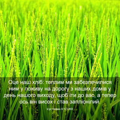 Picture 03 - Ісус Навин 9:12 UKR - Оце наш хліб: теплим ми - Bible Verse Picture