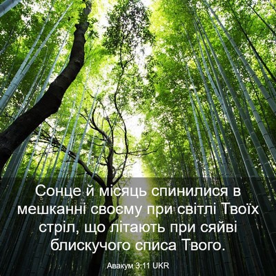 Picture 03 - Авакум 3:11 UKR - Сонце й місяць спинилися в - Bible Verse Picture