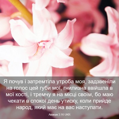 Picture 03 - Авакум 3:16 UKR - Я почув і затремтіла - Bible Verse Picture