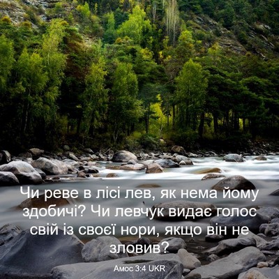 Picture 03 - Амос 3:4 UKR - Чи реве в лісі лев, як нема - Bible Verse Picture