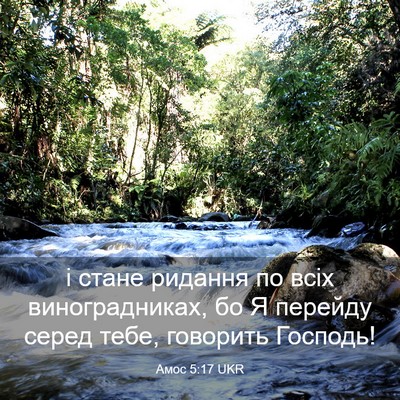 Picture 03 - Амос 5:17 UKR - і стане ридання по всіх - Bible Verse Picture