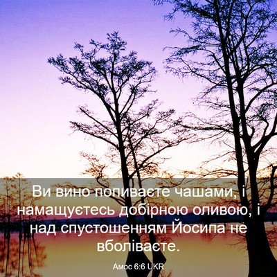 Picture 03 - Амос 6:6 UKR - Ви вино попиваєте чашами, і - Bible Verse Picture