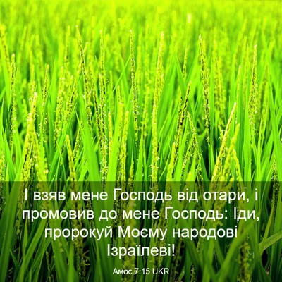 Picture 03 - Амос 7:15 UKR - І взяв мене Господь від - Bible Verse Picture