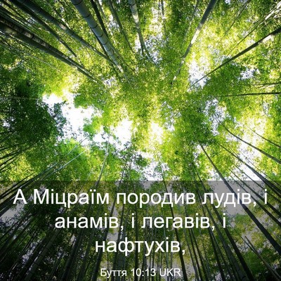 Picture 03 - Буття 10:13 UKR - А Міцраїм породив лудів, і - Bible Verse Picture