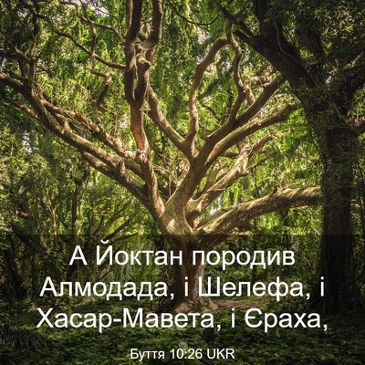 Picture 03 - Буття 10:26 UKR - А Йоктан породив Алмодада, - Bible Verse Picture