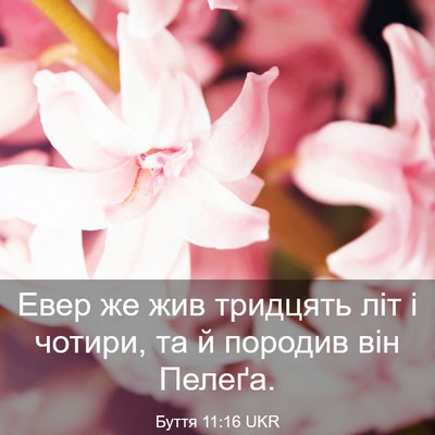 Picture 03 - Буття 11:16 UKR - Евер же жив тридцять літ і - Bible Verse Picture