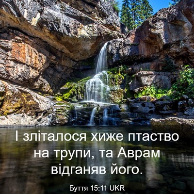 Picture 03 - Буття 15:11 UKR - І зліталося хиже птаство - Bible Verse Picture