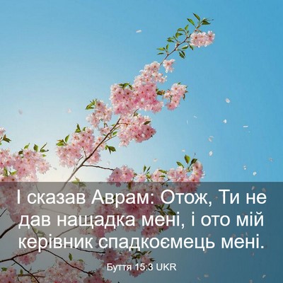 Picture 03 - Буття 15:3 UKR - І сказав Аврам: Отож, Ти не - Bible Verse Picture