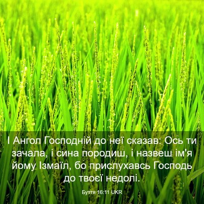 Picture 03 - Буття 16:11 UKR - І Ангол Господній до неї - Bible Verse Picture