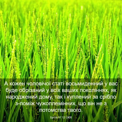 Picture 03 - Буття 17:12 UKR - А кожен чоловічої статі - Bible Verse Picture