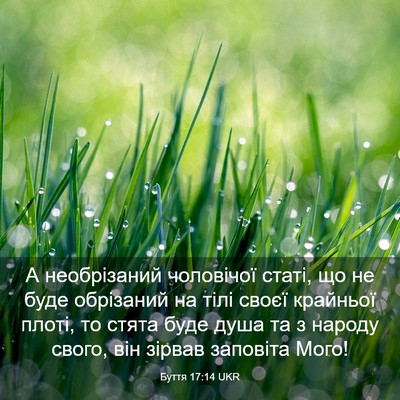 Picture 03 - Буття 17:14 UKR - А необрізаний чоловічої - Bible Verse Picture