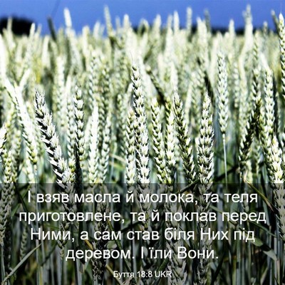 Picture 03 - Буття 18:8 UKR - І взяв масла й молока, та - Bible Verse Picture