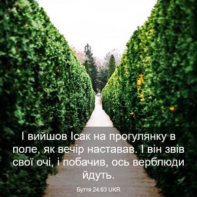 Picture 03 - Буття 24:63 UKR - І вийшов Ісак на - Bible Verse Picture