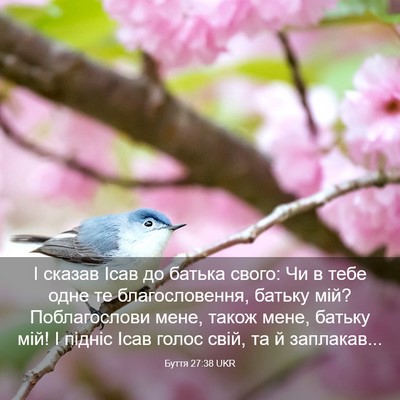 Picture 03 - Буття 27:38 UKR - І сказав Ісав до батька - Bible Verse Picture