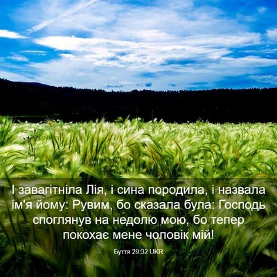 Picture 03 - Буття 29:32 UKR - І завагітніла Лія, і сина - Bible Verse Picture