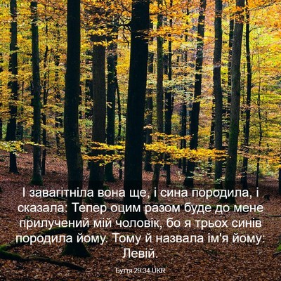 Picture 03 - Буття 29:34 UKR - І завагітніла вона ще, і - Bible Verse Picture