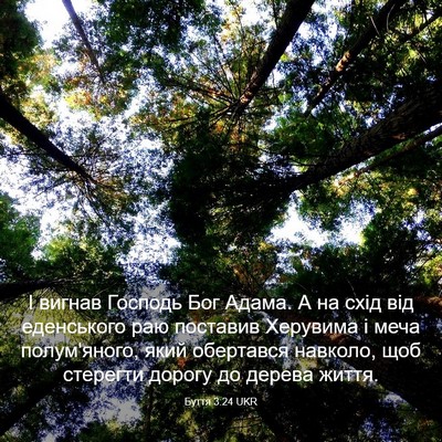 Picture 03 - Буття 3:24 UKR - І вигнав Господь Бог Адама. - Bible Verse Picture