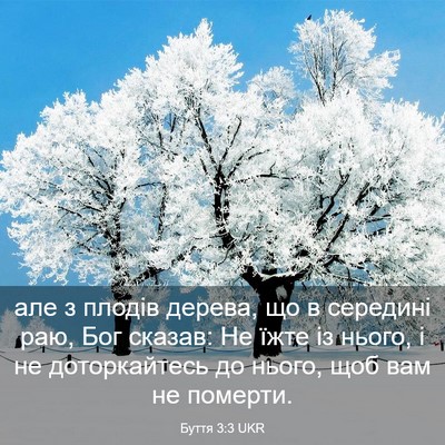 Picture 03 - Буття 3:3 UKR - але з плодів дерева, що в - Bible Verse Picture