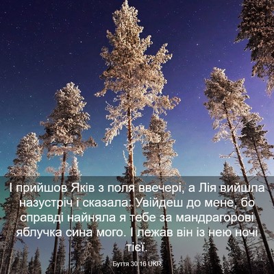 Picture 03 - Буття 30:16 UKR - І прийшов Яків з поля - Bible Verse Picture