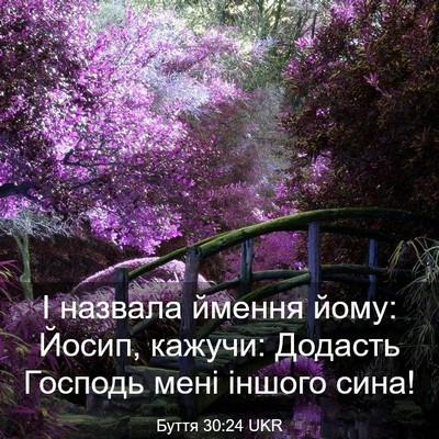 Picture 03 - Буття 30:24 UKR - І назвала ймення йому: - Bible Verse Picture