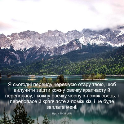 Picture 03 - Буття 30:32 UKR - Я сьогодні перейду через - Bible Verse Picture