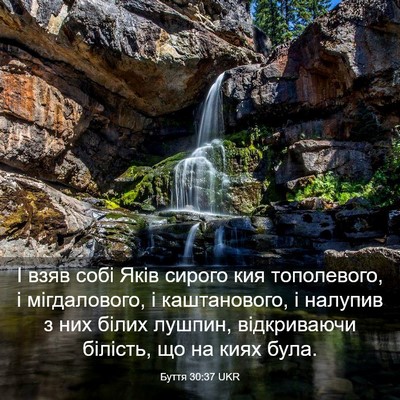Picture 03 - Буття 30:37 UKR - І взяв собі Яків сирого кия - Bible Verse Picture