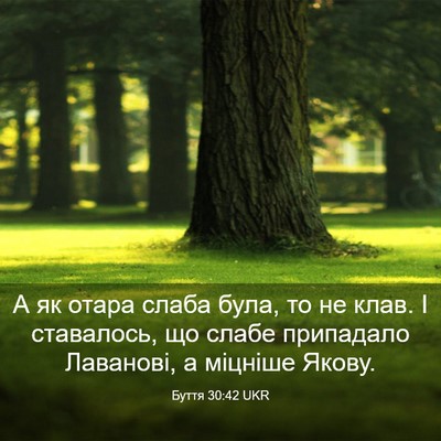 Picture 03 - Буття 30:42 UKR - А як отара слаба була, то не - Bible Verse Picture