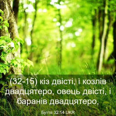 Picture 03 - Буття 32:14 UKR - (32-15) кіз двісті, і козлів - Bible Verse Picture