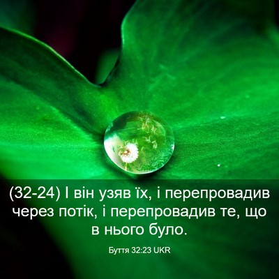 Picture 03 - Буття 32:23 UKR - (32-24) І він узяв їх, і - Bible Verse Picture