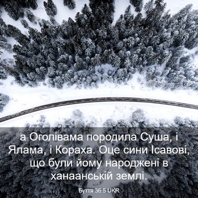 Picture 03 - Буття 36:5 UKR - а Оголівама породила Суша, - Bible Verse Picture