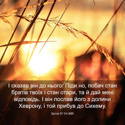 Picture 03 - Буття 37:14 UKR - І сказав він до нього: Піди - Bible Verse Picture