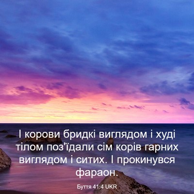 Picture 03 - Буття 41:4 UKR - І корови бридкі виглядом і - Bible Verse Picture