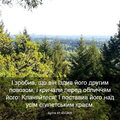 Picture 03 - Буття 41:43 UKR - І зробив, що він їздив його - Bible Verse Picture