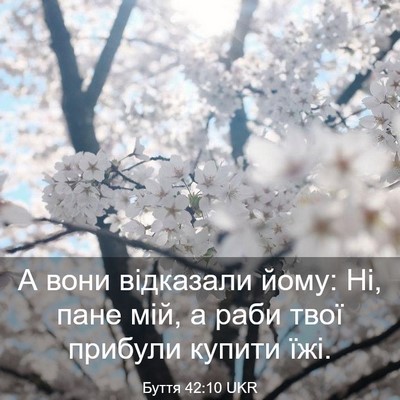 Picture 03 - Буття 42:10 UKR - А вони відказали йому: Ні, - Bible Verse Picture
