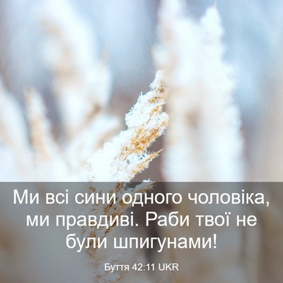 Picture 03 - Буття 42:11 UKR - Ми всі сини одного - Bible Verse Picture