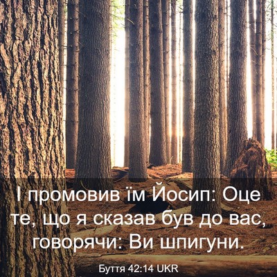 Picture 03 - Буття 42:14 UKR - І промовив їм Йосип: Оце те, - Bible Verse Picture