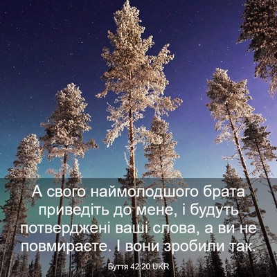 Picture 03 - Буття 42:20 UKR - А свого наймолодшого брата - Bible Verse Picture
