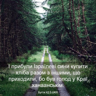 Picture 03 - Буття 42:5 UKR - І прибули Ізраїлеві сини - Bible Verse Picture